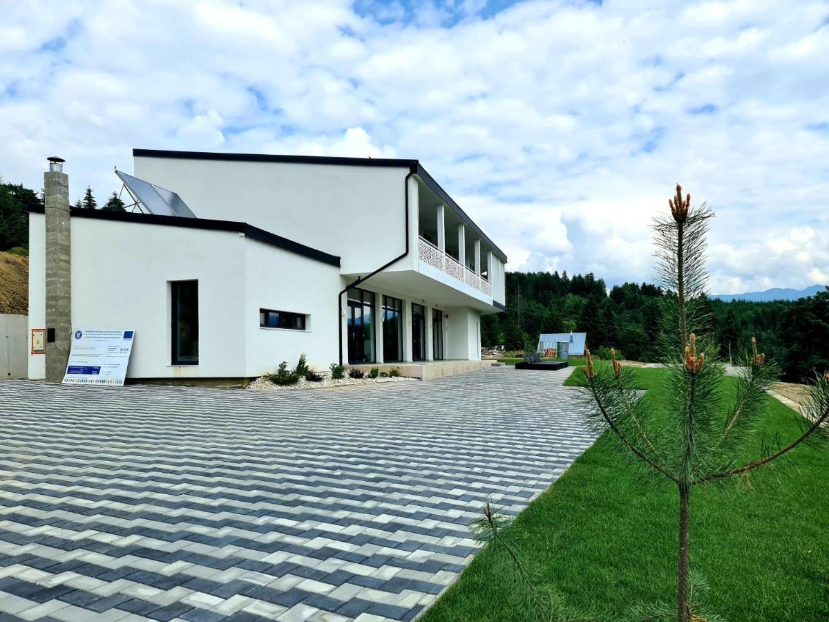 Pensiunea Ddc Colibiţa Buitenkant foto
