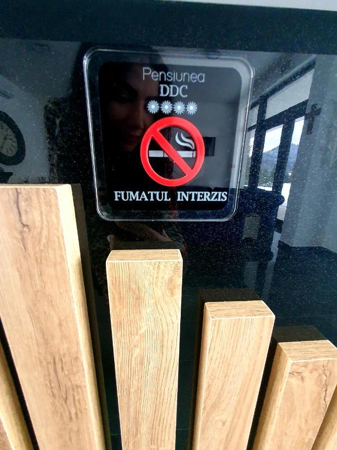 Pensiunea Ddc Colibiţa Buitenkant foto